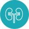 Recurso 6icono-ciclo